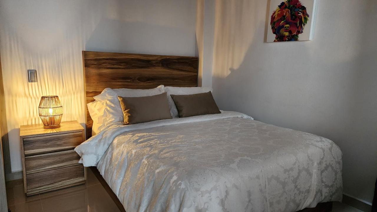 Ocasso Apartamento Colibri * Jardin