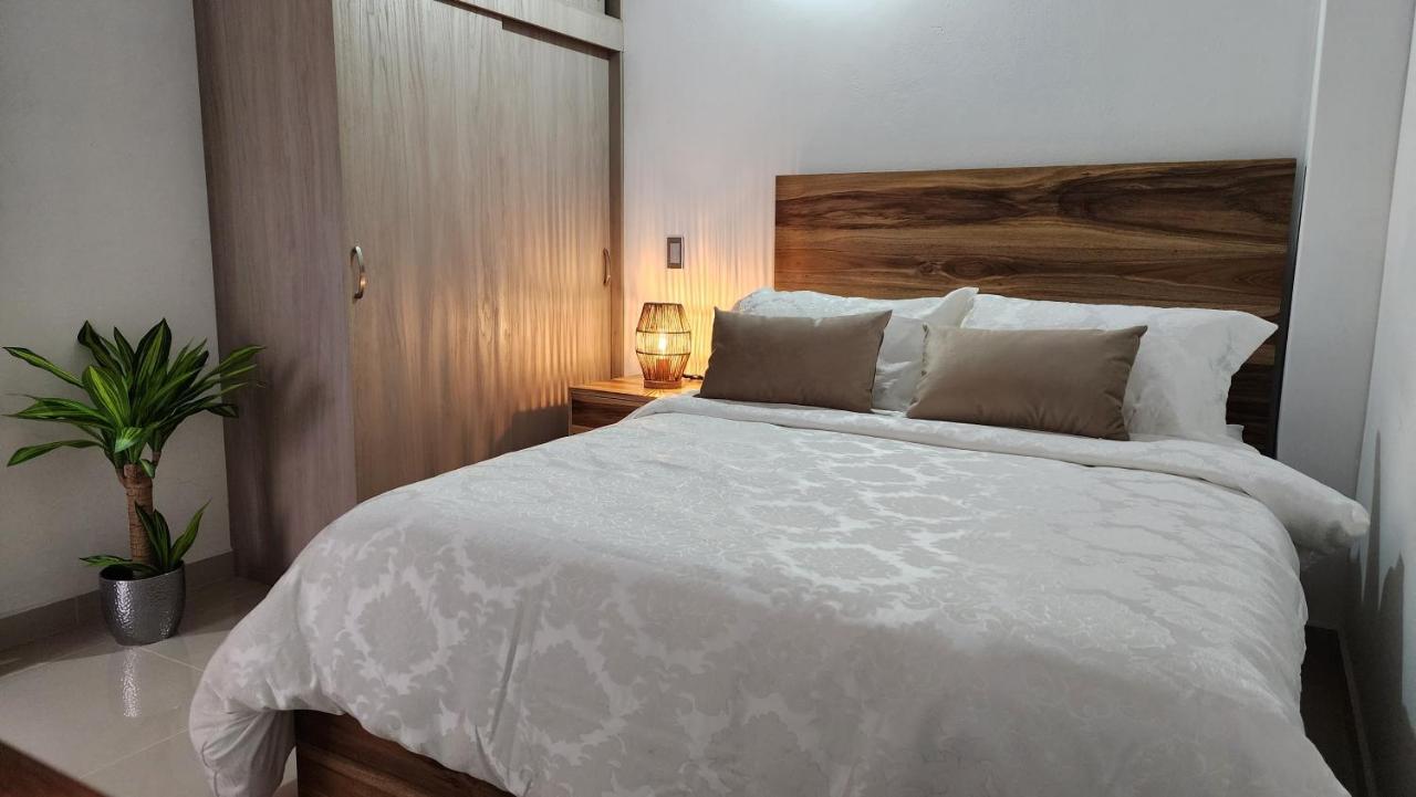 Apartment Ocasso Apartamento Colibri Jardin